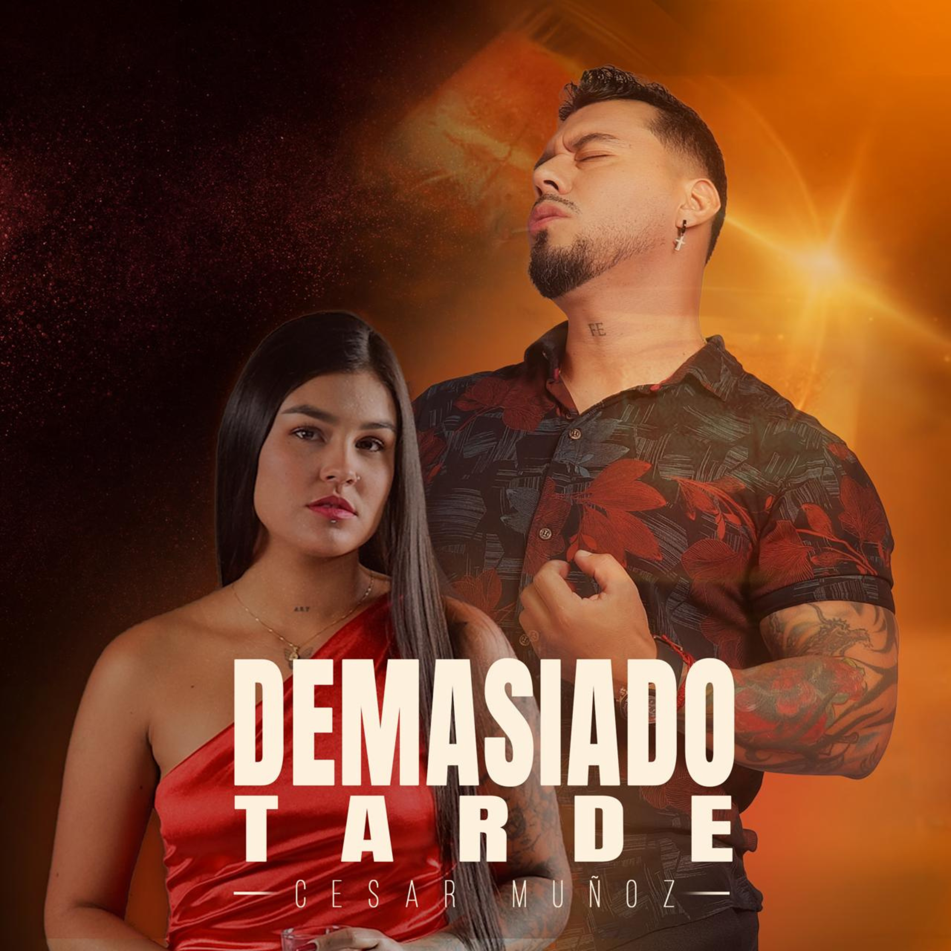 Demasiado Tarde