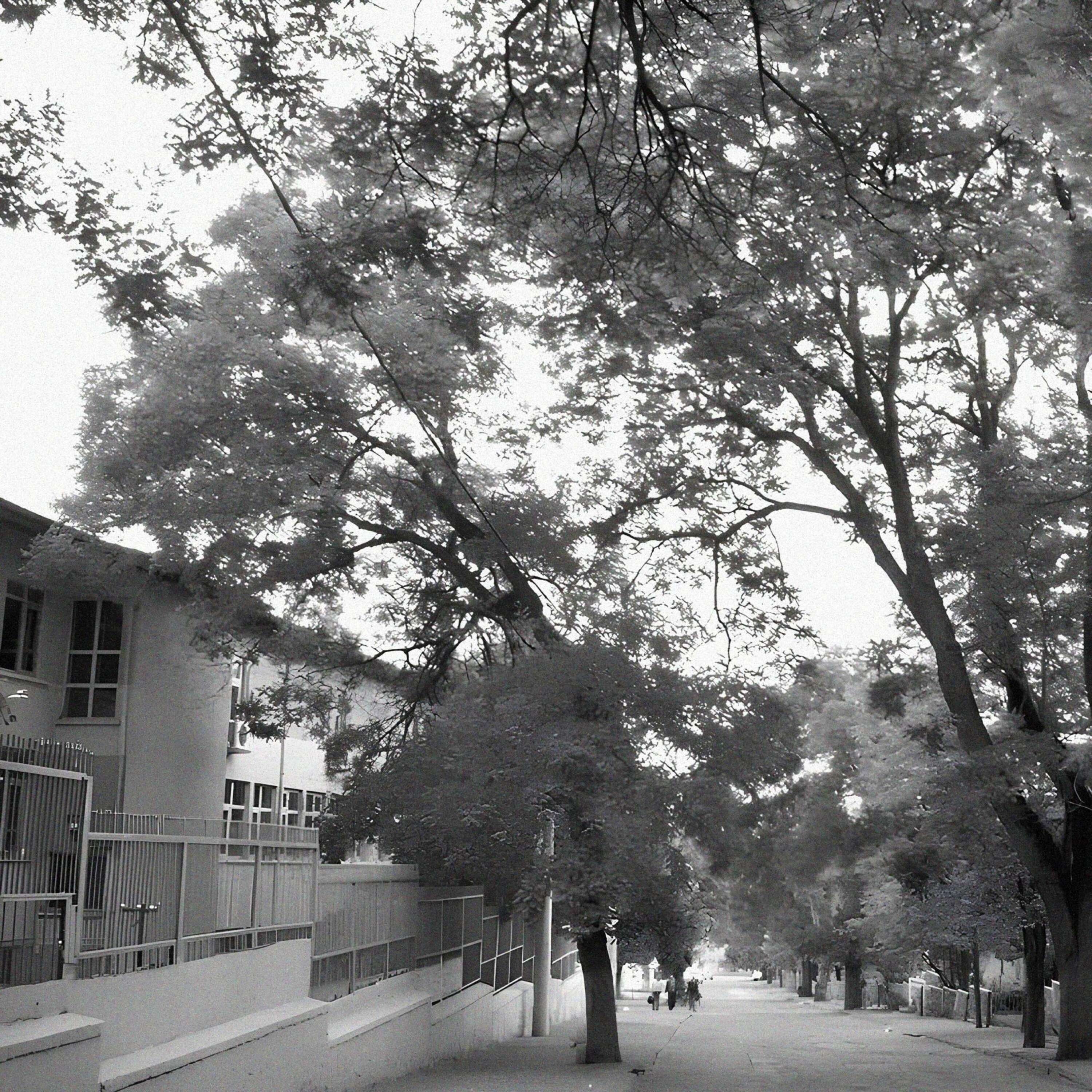 Karavana Kahini