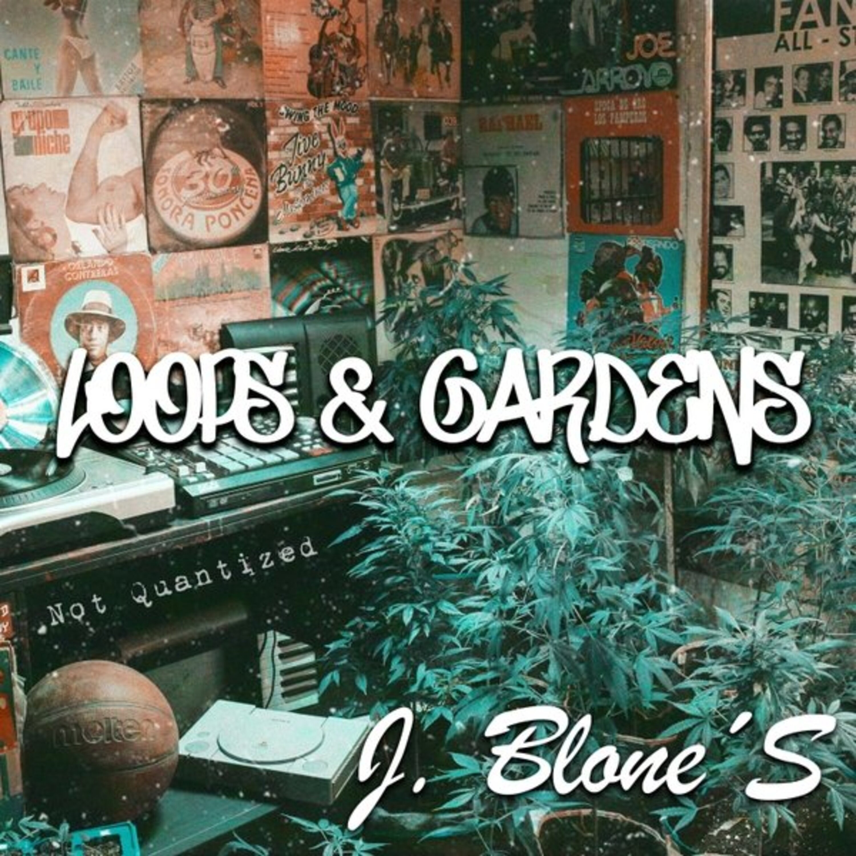 Loops & Gardens