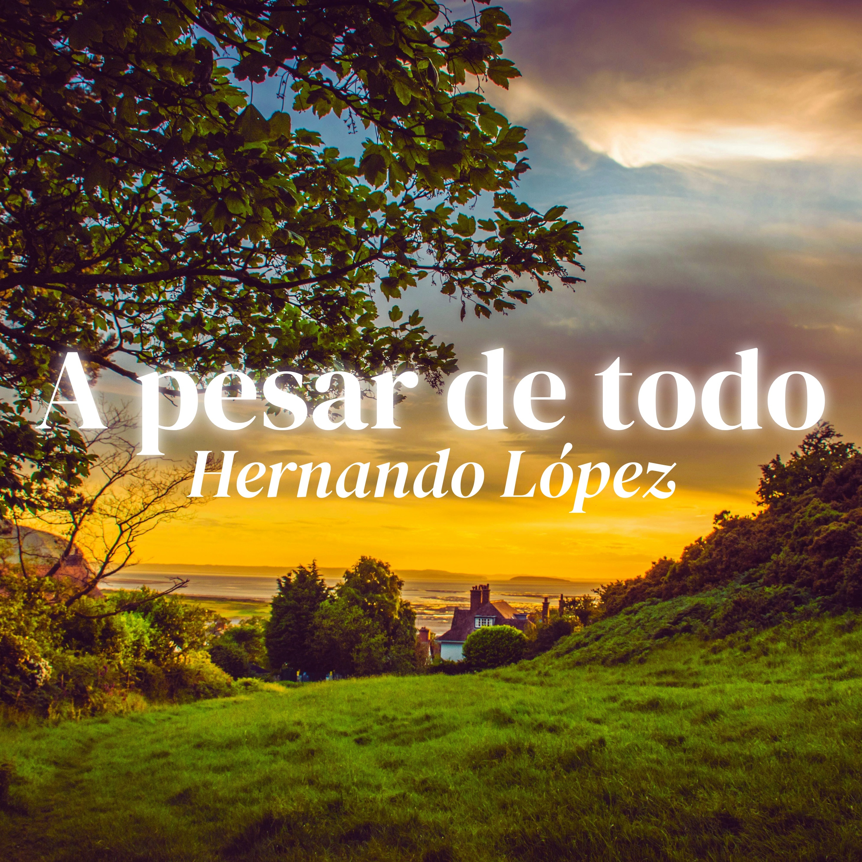 A pesar de todo