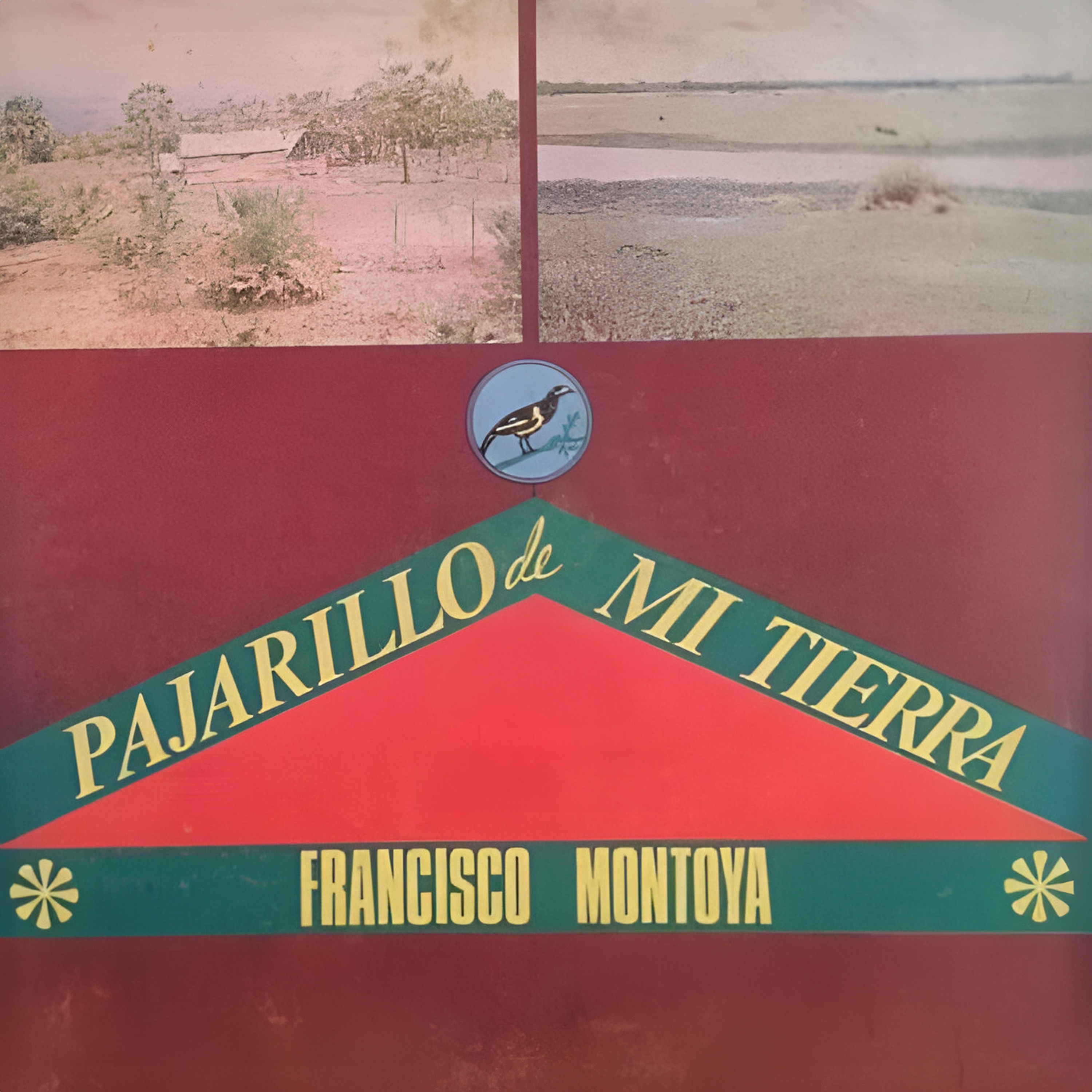 Pajarillo de mi Tierra