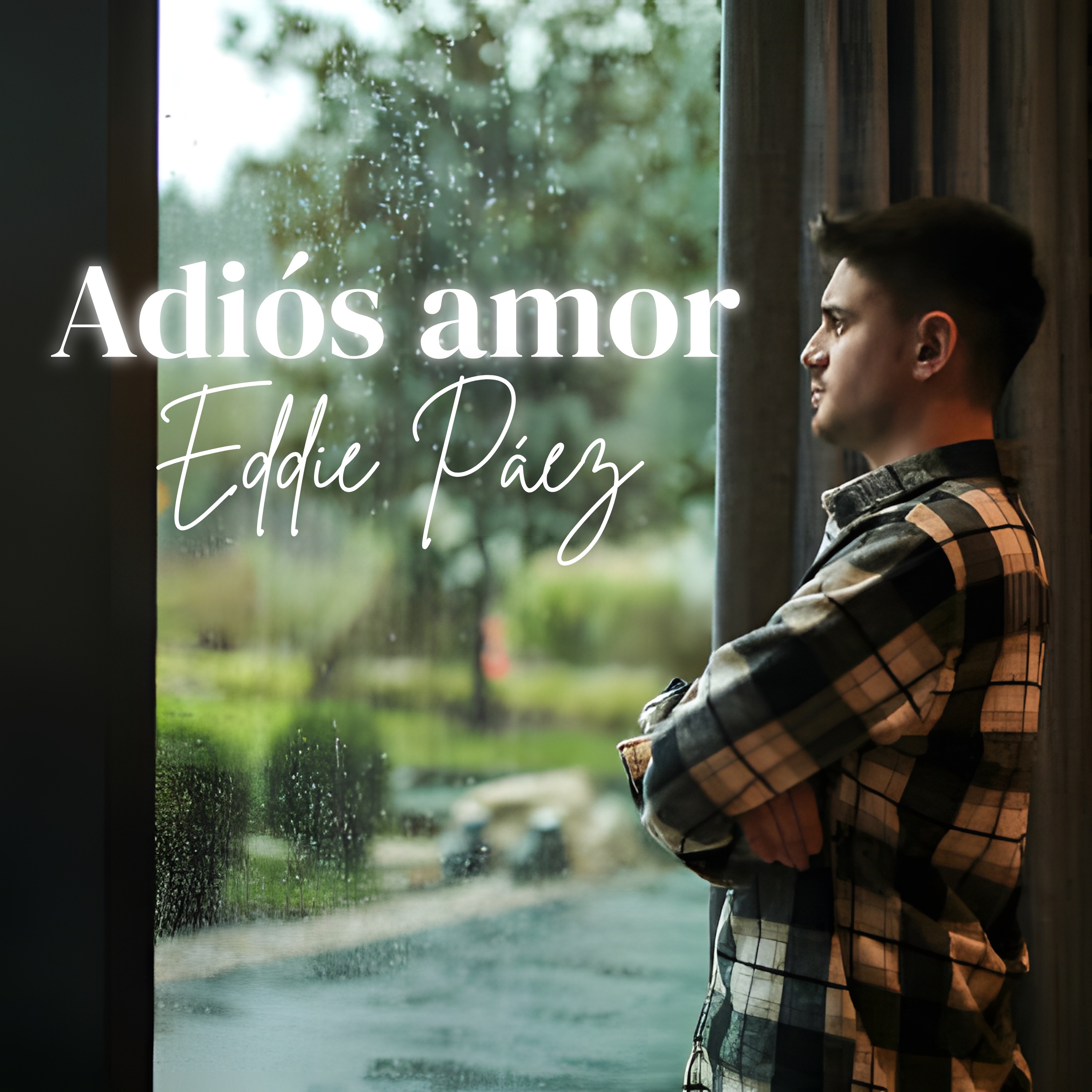 Adiós amor