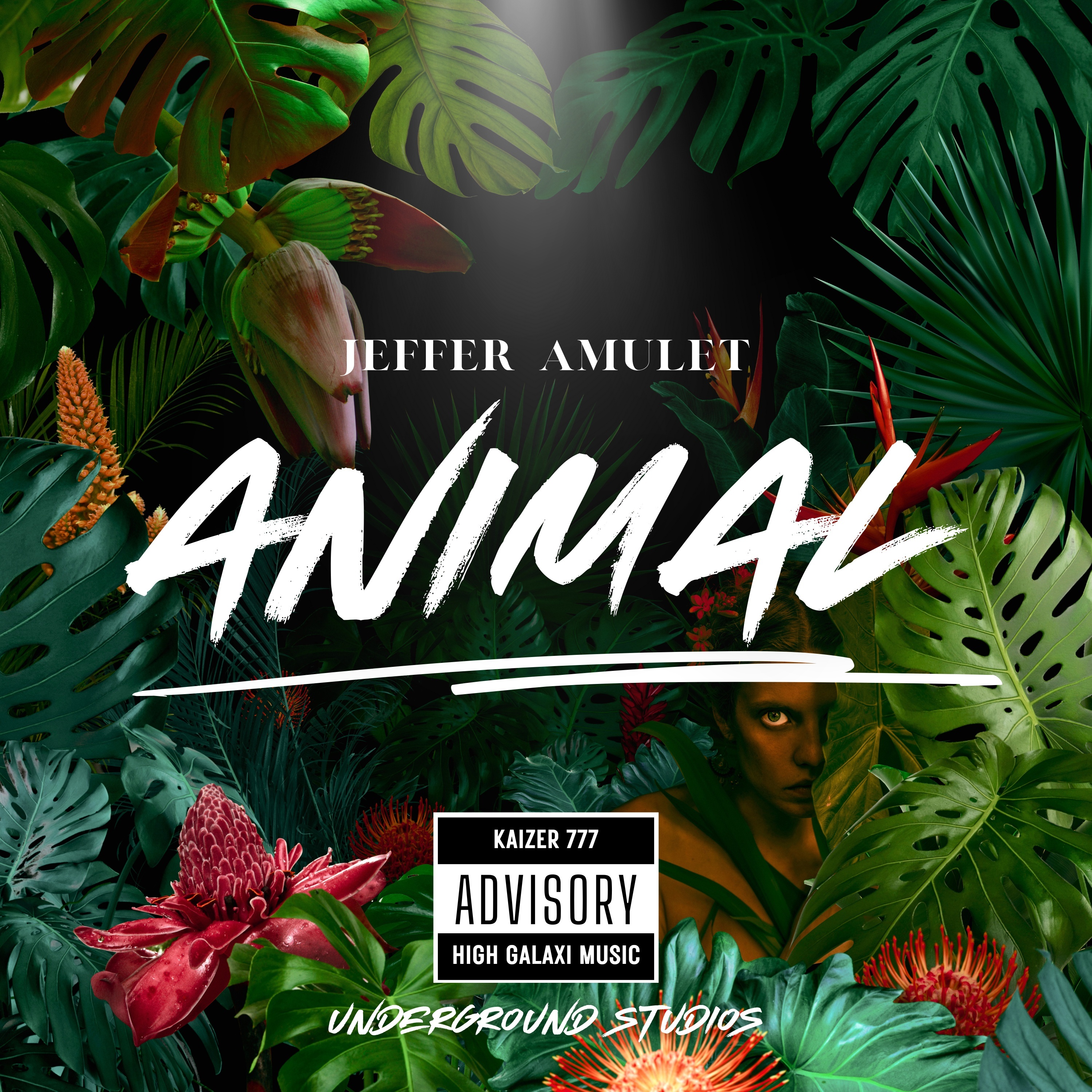 Animal