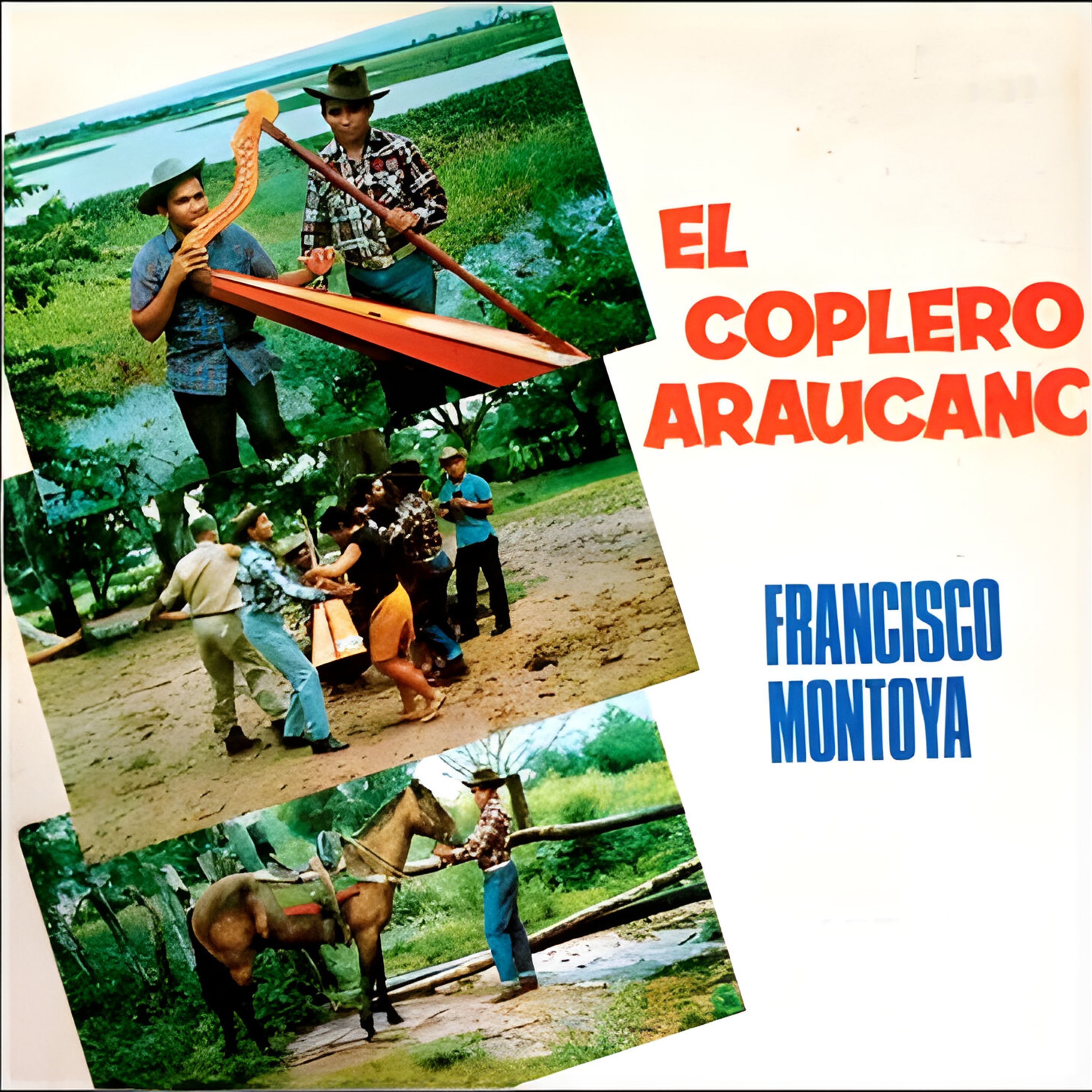 El Coplero Araucano
